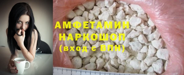 индика Касимов