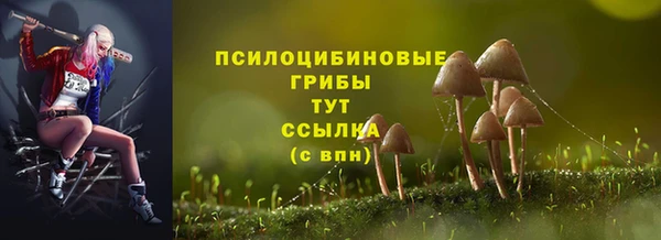 прущие грибы Карпинск