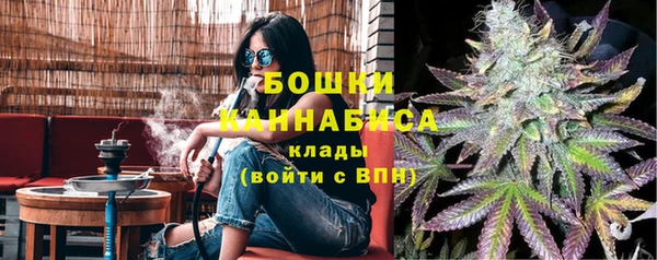 прущие грибы Карпинск
