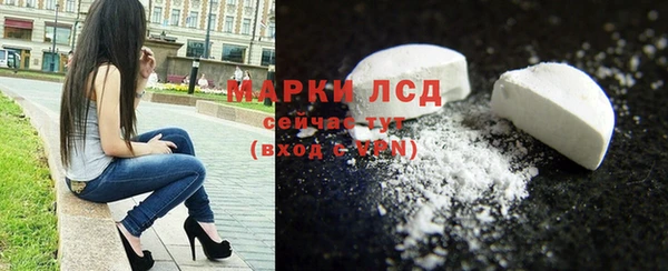индика Касимов