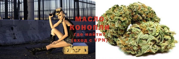 дмт Козельск