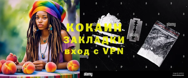 индика Касимов