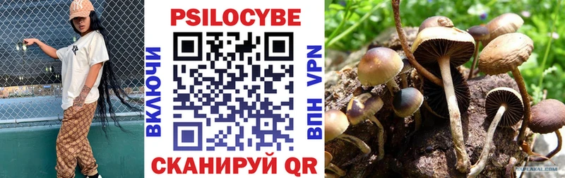 Псилоцибиновые грибы ЛСД  Купить где  Мещовск 